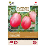 Cocktail tomat - Pink thai egg - Solanum Lycopersicum