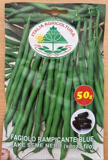 Bønne, Stang - rampicante Blue Lake Seme Nero (senza filo) - 50 gram