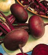 Rødbede - Crosby's egyptian