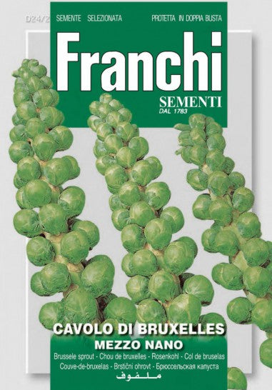 Rosenkål - Cavolo di Bruxelles