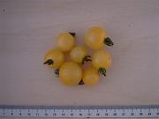 Reinhard's Goldkirsche tomat