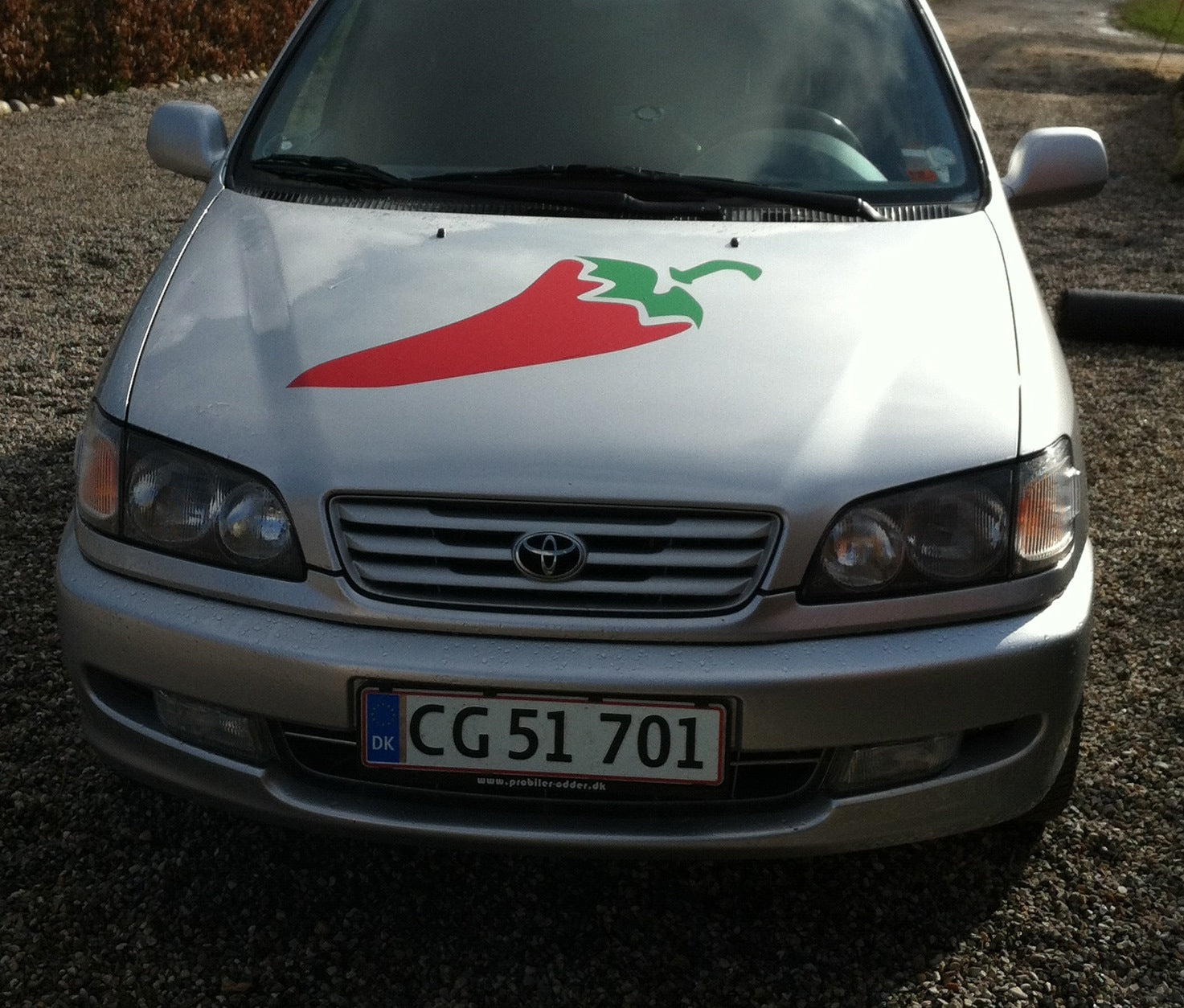 Sticker - Stor Chili 80 x 35 cm