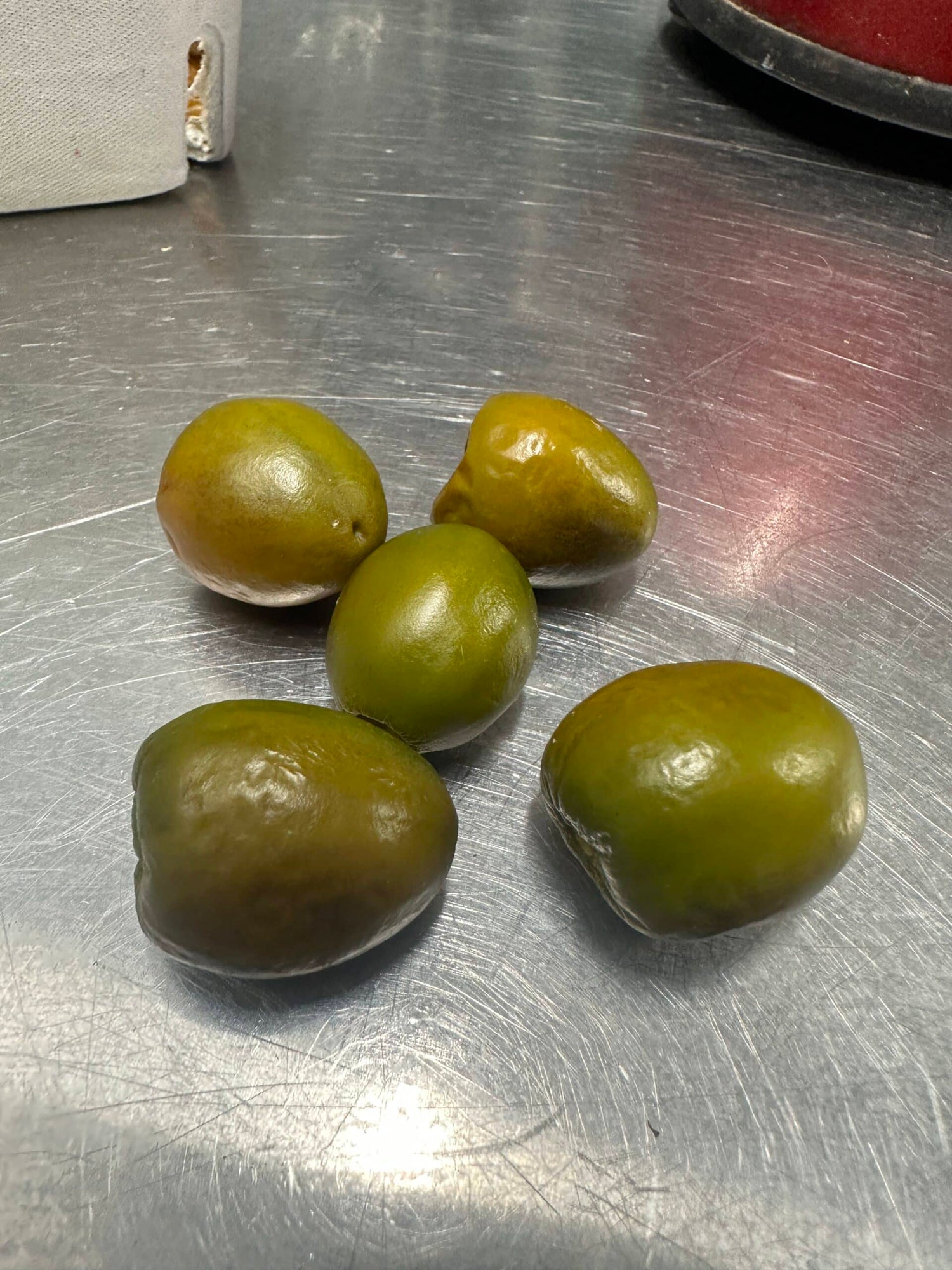 Rocoto Mini Olive - C. pubescens