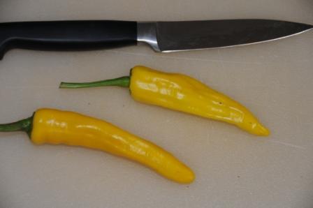 Macska Sarga - C. annuum