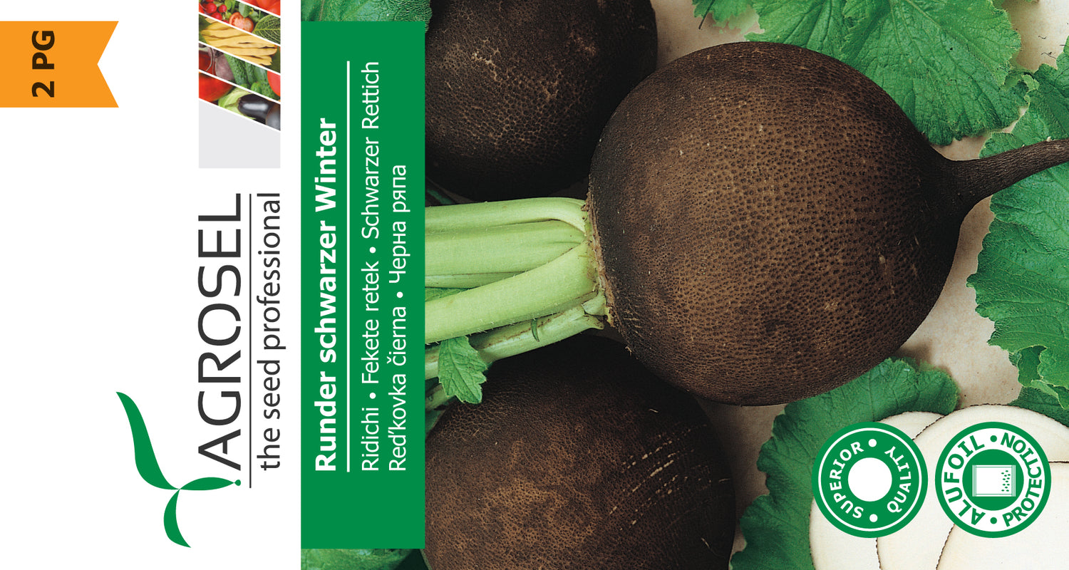 Ræddike - Runder Schwarzer Winter - PG2