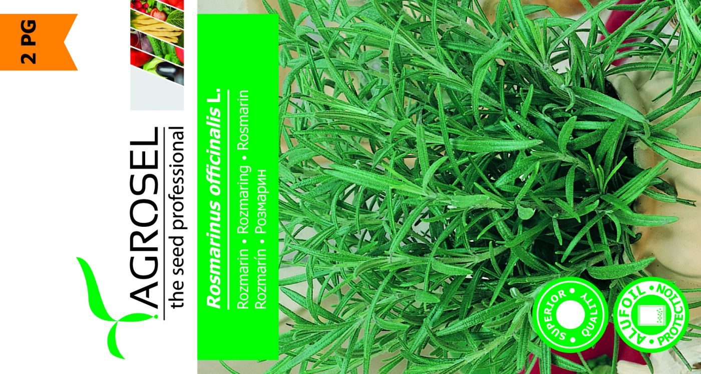 Rosmarin - Rosmarinus Officinalis L.