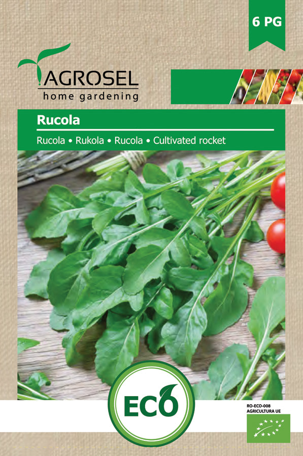 Rucola salat - Eruca Sativa ØKO