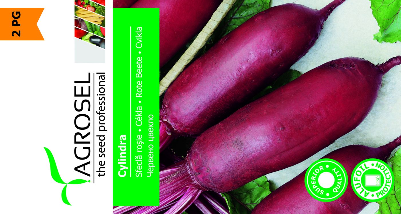 Rødbede - Cylindra