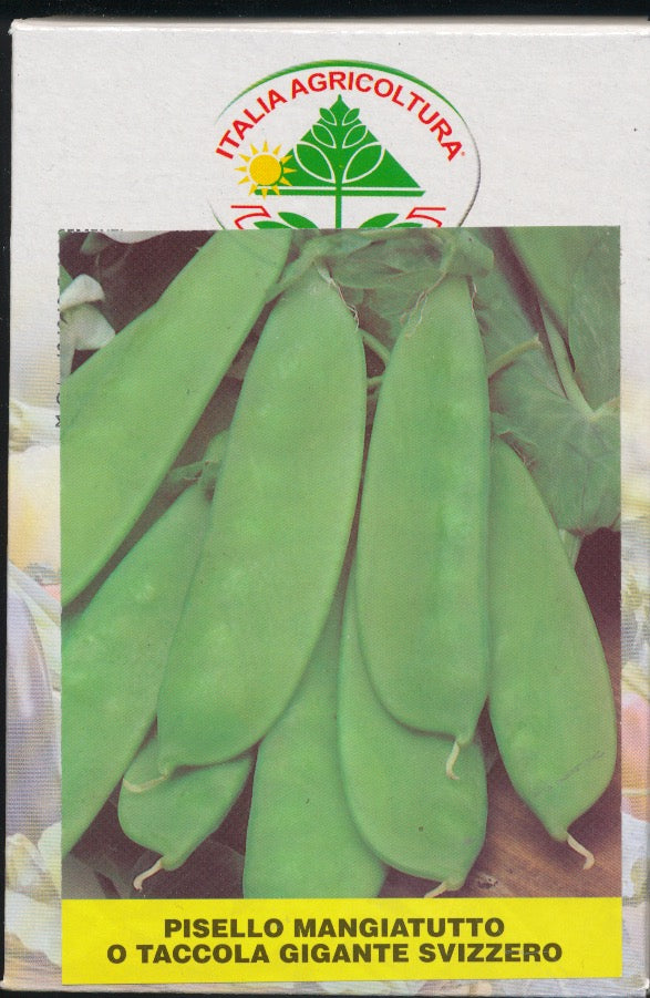 Ært, sukker - Mangiatutto o Taccola Gigante Svizzero - 250 gram