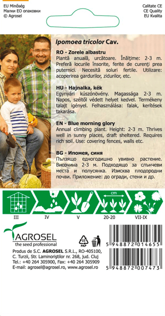 Tragtsnerle - Ipomoea Tricolor cav. - Blue Morning Glory - PG2 - NYHED 2025