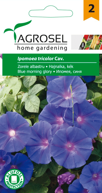 Tragtsnerle - Ipomoea Tricolor cav. - Blue Morning Glory - PG2 - NYHED 2025