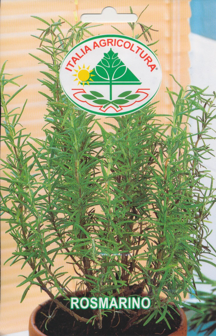 Rosmarin - Rosmarinus Officinalis