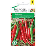 Chili - De Cayenne - Lille