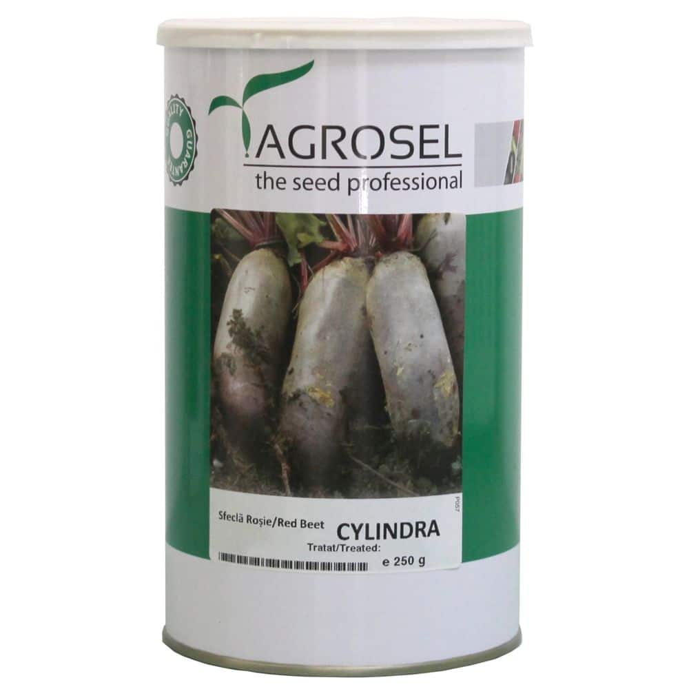 Rødbede - Cylindra - BIG-PACKS