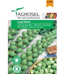 Rosenkål - Long Island - mellem pk.