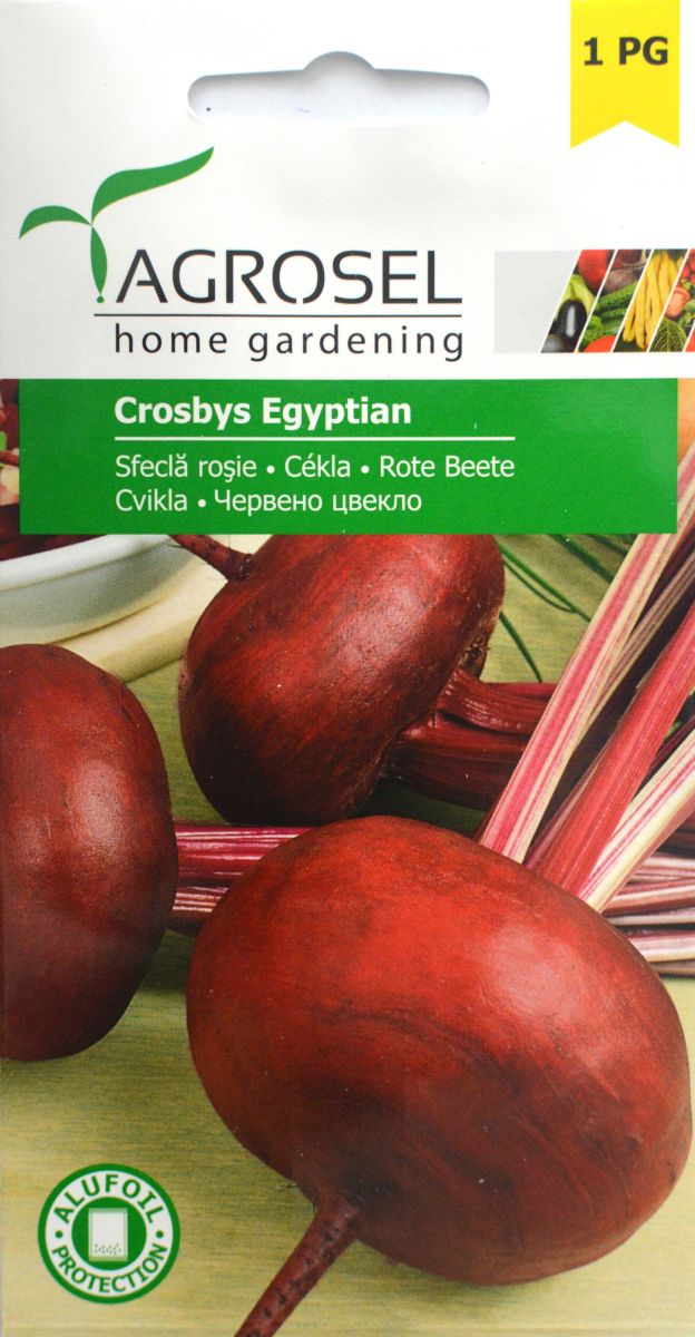 Rødbede - Crosbys Egyptian