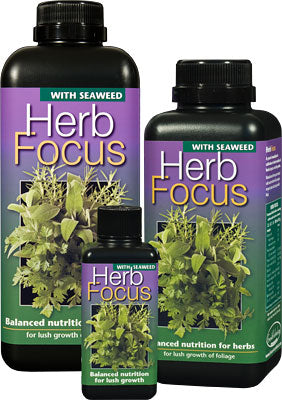 GT Herb Focus 100 ml