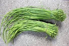 Rottehale Radis - Raphanus caudatus