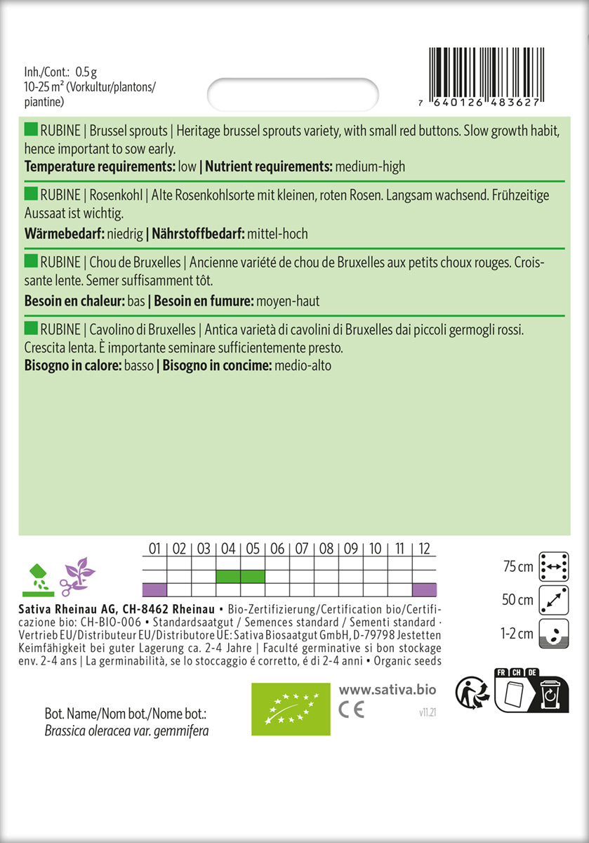 Rosenkål - Rubine - ØKO