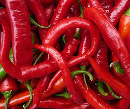 Lombardo - C. annuum