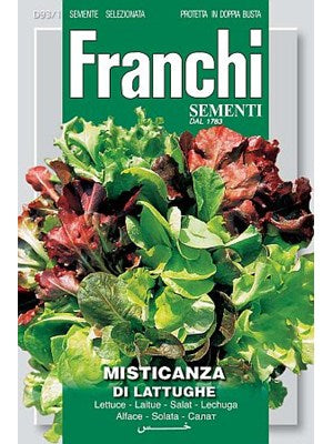 Salat Mix - Misticanza Lattughe Croccanti