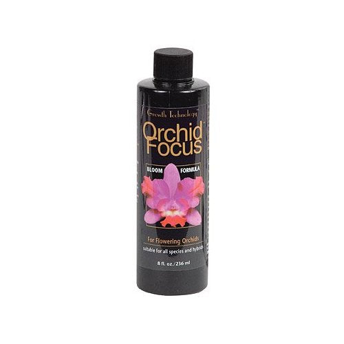 GT Orchid Focus Bloom 100ml