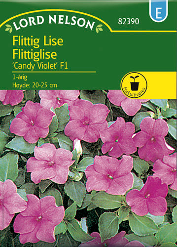 Flittiglise, candy Violet F1, lilla