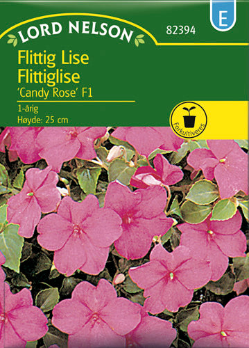 Flittiglise, Candy Rose F1, rosa