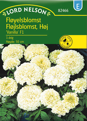 Fløjlsblomst, Opret, Vanilla F1