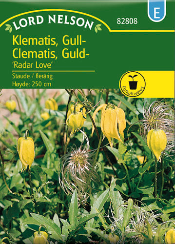 Skovranke, Guld-, Radar Love