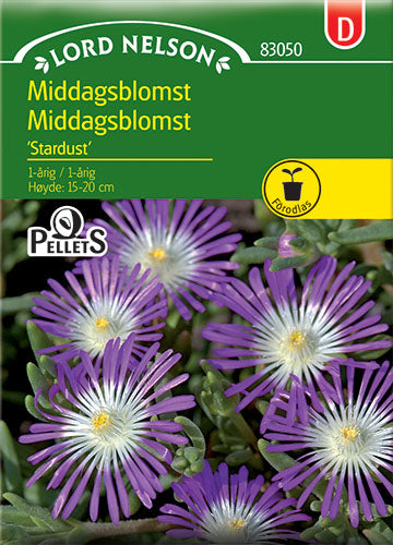 Middagsblomst, Stardust, (Pellet)