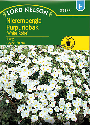 Nierembergie, White Robe, hvid