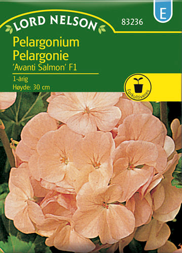 Pelargonie, Avanti Salmon F1