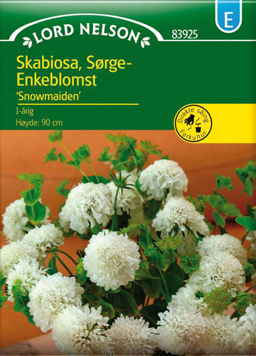 Enkeblomst, Snowmaiden
