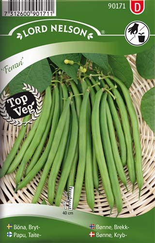 Bønne, Kryb-, Ferrari