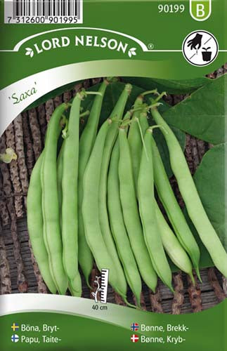 Bønne, Kryb-, Saxa