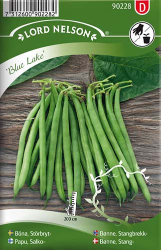 Bønne, Stang-, Blue Lake