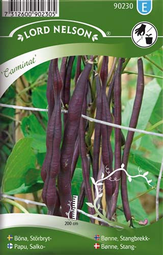Bønne, Stang-, Carminat
