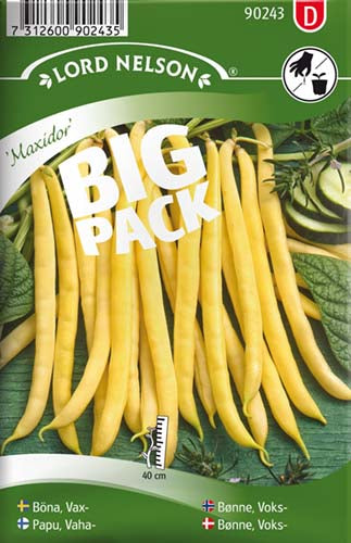 Bønne, Voks-, Maxidor - BIG PACK
