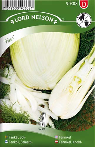 Fennikel, Knold-, Fino