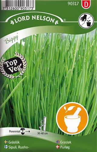 Purløg, Almindelig, Biggy