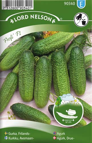 Agurk, Drue-,  Frilands-, Profi F1