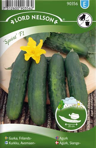 Agurk, Frilands-, Sprint F1