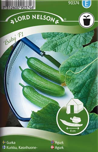 Agurk, Skole-, Baby F1