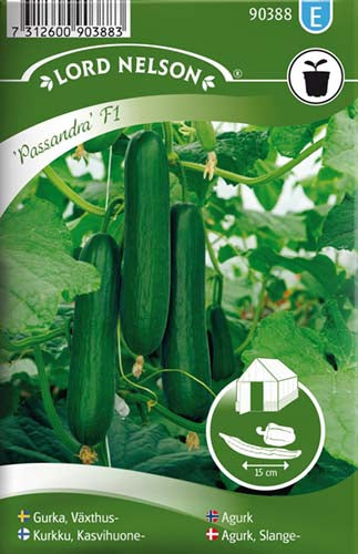 Agurk, Drivhus-, mini, Passandra F1
