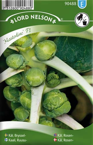 Kål, Rosen-, Masterline F1
