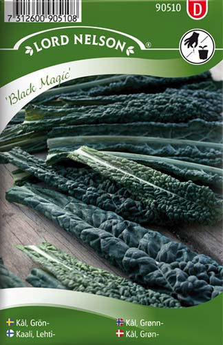 Kål, Grøn-, Black Magic