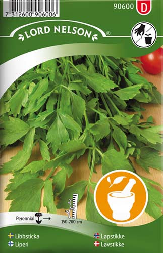 Løvstikke - Levisticum officinale