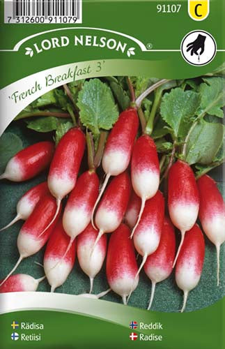 Radise, French Breakfast 3