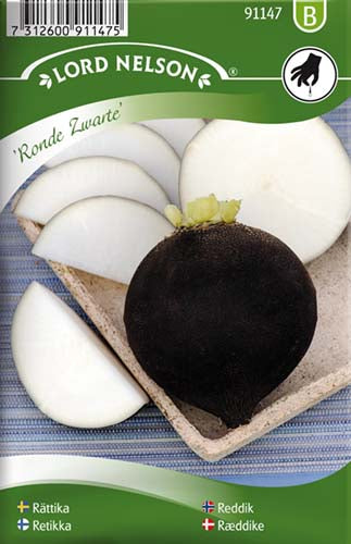 Ræddike, Ronde Zwarte